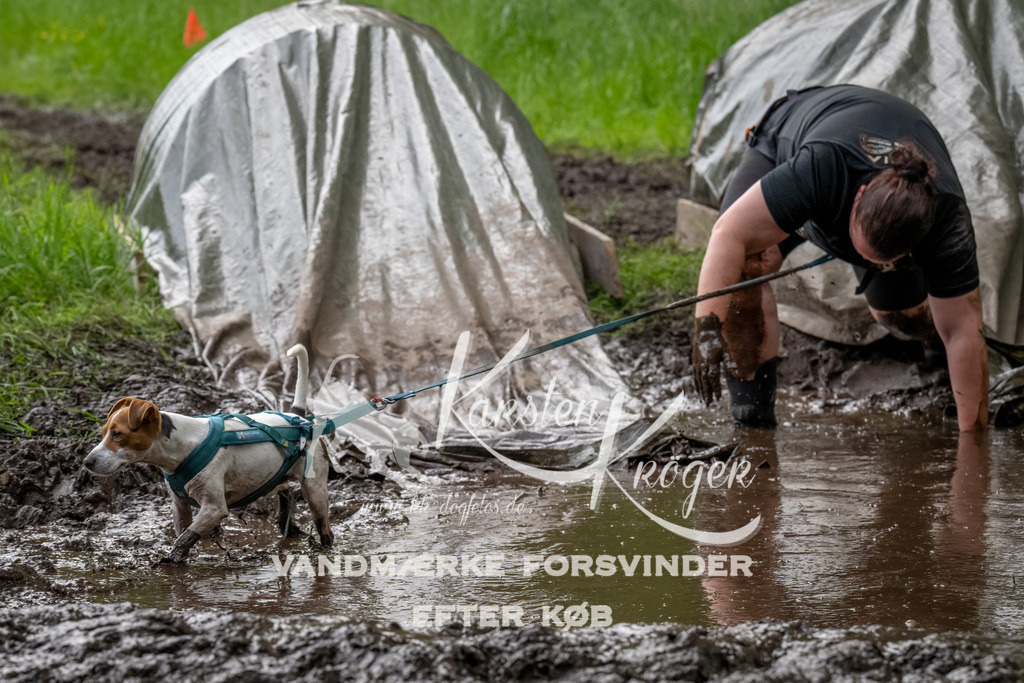 1508_ZZ91927-Bearbeitet | kk-dogfotos