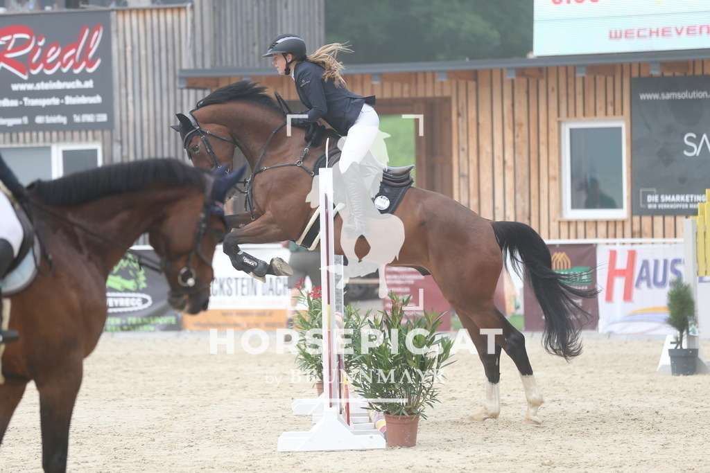 DL2Q9050 | Willkommen bei Brunnmayr - Design & Fotografie – Ihrem Spezialisten für Reitturniere und Pferdeveranstaltungen in Oberösterreich, Salzburg und Bayern! Seit über 17 Jahren sind wir leidenschaftlich dabei.