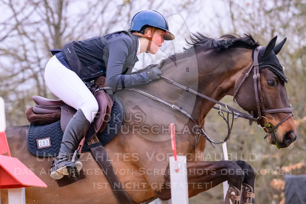 10042026-Mammendorf-Prfg19-0665 | Fokus Hufschlag Fotografie - Realisiert mit Pictrs.com
