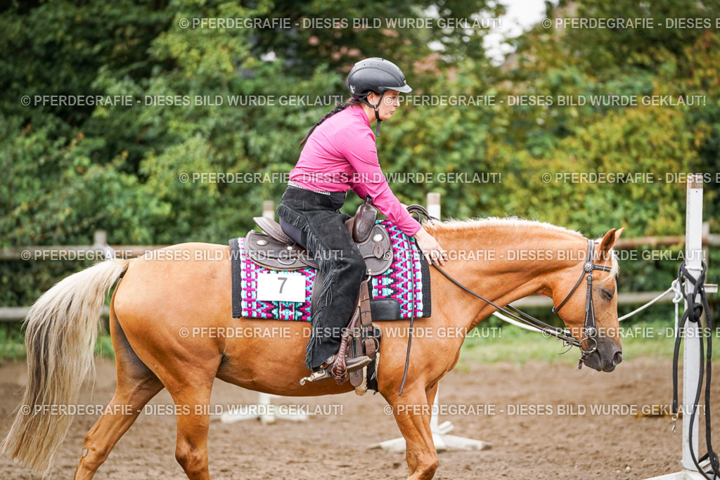 DSC03835 | Pferdegrafie