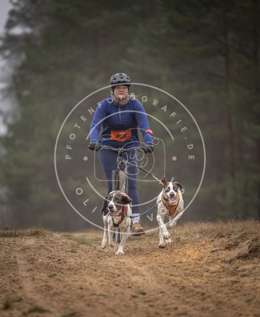 Pfotenfotografie_DV3A1163 | Hundefotografie, Tierfotograf, Pfotenfotografie, Fotoshooting Hund, Hunde Portrait, Hundesport, Hundeportraits, Heideshooting, Hunde, Sportfotograf, Hundefotograf, Turnierhundsport, THS,  - Realisiert mit Pictrs.com