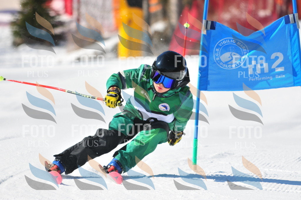 C3184 | holidayphoto