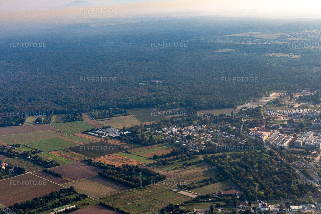 Luftbild: Käfertal, James-Monroe-Ring im Ortsteil Käfertal in Mannheim im Bundesland Baden-Württemberg in Deutschland. Foto: IMG_116992.jpg vom 25.08.2019 durch Werner Riehm/FLY-FOTO.de