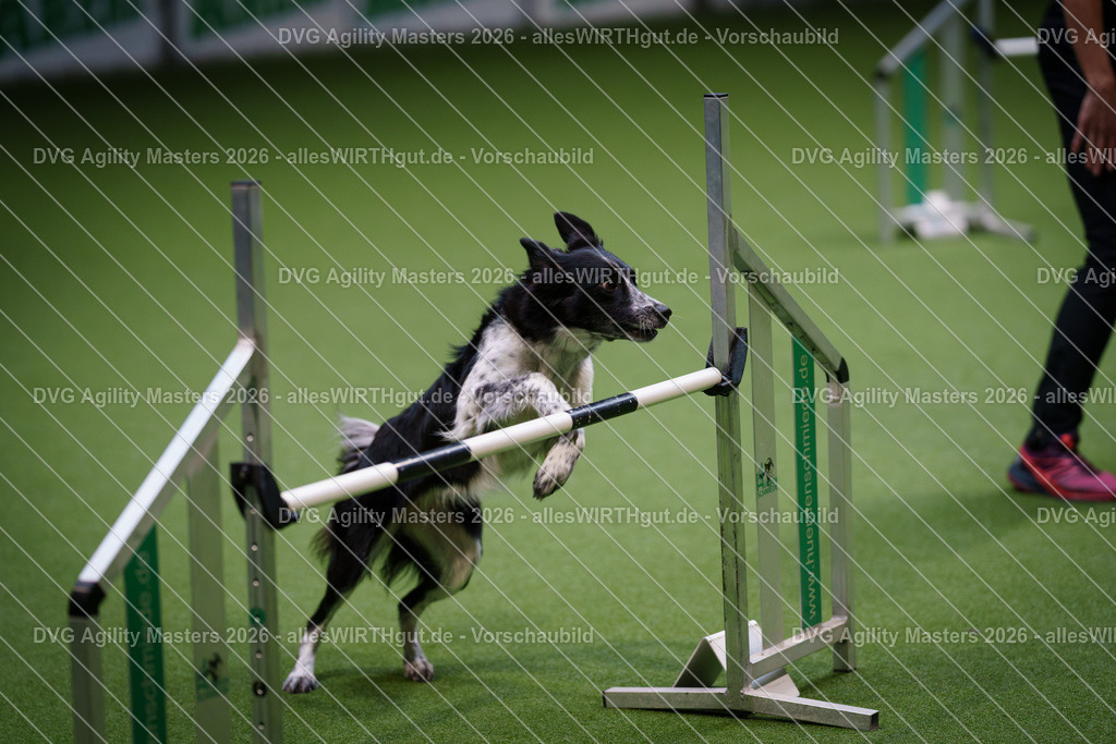 allesWIRTHgut_Tierfotografie-DVG_Agility_Masters_2026-14_52-7R501534 | Professionelle Tierfotografie in Mönchengladbach von Daniel Wirth (allesWIRTHgut). Liebevolle & natürliche Bilder von Hunden & Katzen für unvergessliche Erinnerungen.