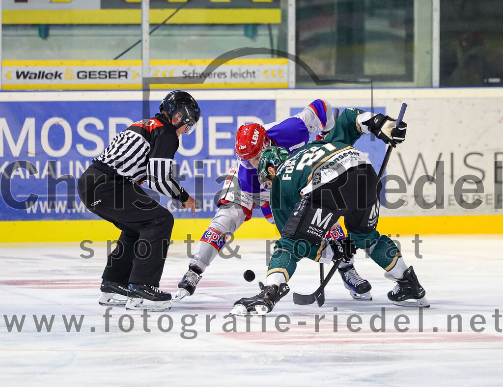 2025-09-14_031_TSV_Erding_gegen_EC_Peiting | Erding, Deutschland, 14.09.2025:Eishockey, Oberliga Süd 2025 / 2026, Testspiel, TSV Erding gegen EC Peiting, Endergebnis: 2:3Foto: Christian Riedel / fotografie-riedel.net