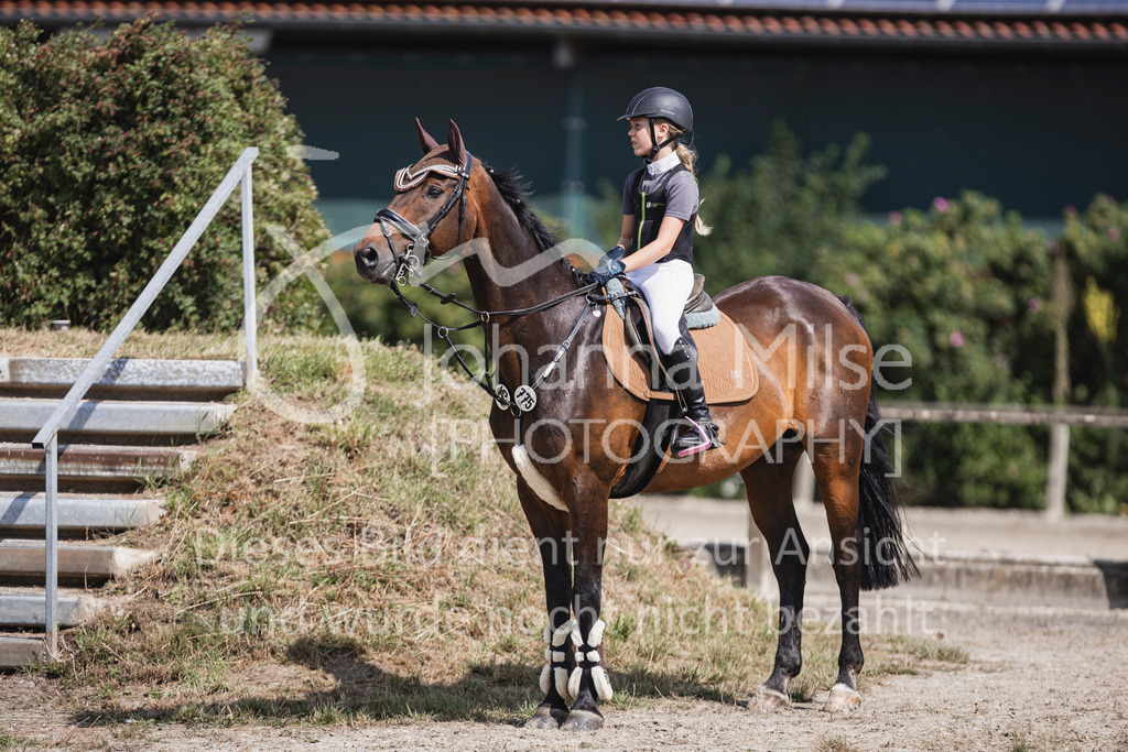 250628_PfSpTa_A2-Spr-226 | Deine schönsten Turniermomente als professionelle Fotos! Entdecke hochwertige Pferdesport-Fotografie im Online-Shop. Jetzt Fotos finden & bestellen!