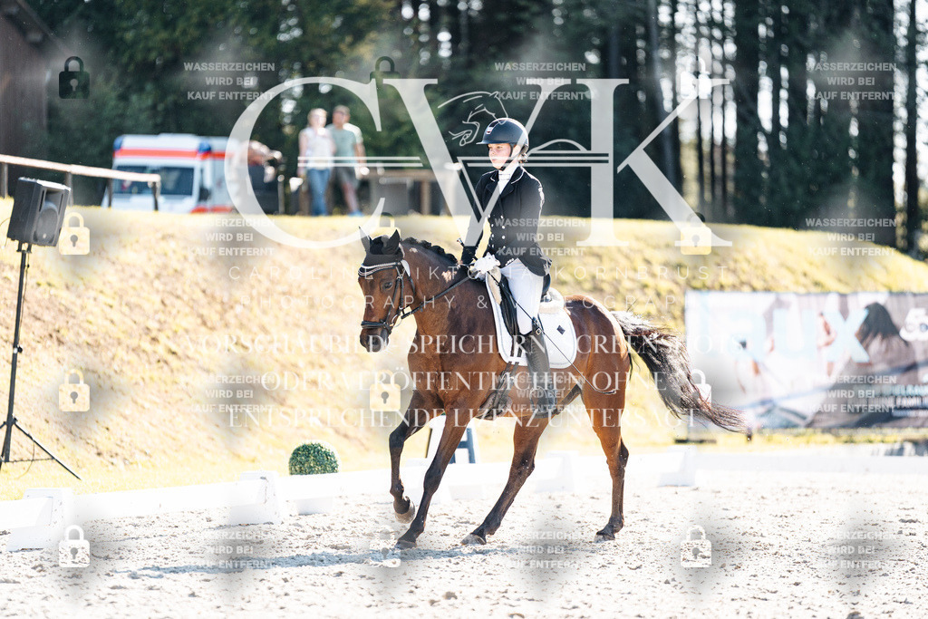 CK906275 | Turnierfotografie Pferdefotografie Trier Rheinland-Pfalz Pferdesport Reitsport Tierfotografie Sportfotografie Pferdevideo Pferdevideografie Equestrianvideography equestrianphotography  - Realisiert mit Pictrs.com