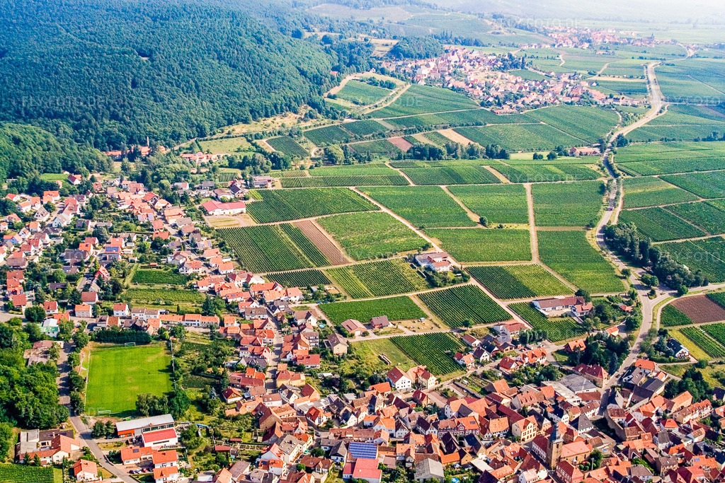 Luftbild: Bergbornstraße in Frankweiler im Bundesland Rheinland-Pfalz in Deutschland. Foto: IMG_12151.jpg vom 31.07.2008 durch Werner Riehm/FLY-FOTO.de