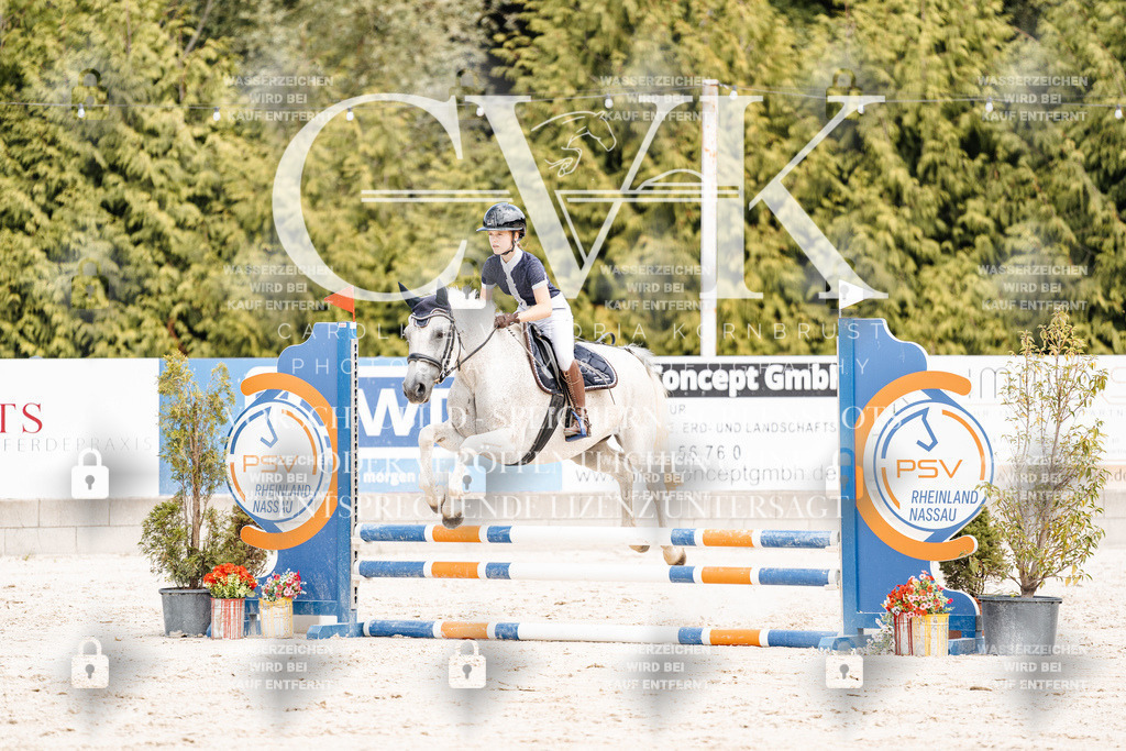 CK906791 | Turnierfotografie Pferdefotografie Trier Rheinland-Pfalz Pferdesport Reitsport Tierfotografie Sportfotografie Pferdevideo Pferdevideografie Equestrianvideography equestrianphotography  - Realisiert mit Pictrs.com