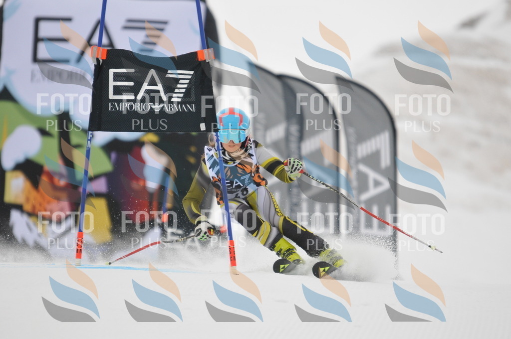 DSC_7521 | holidayphoto