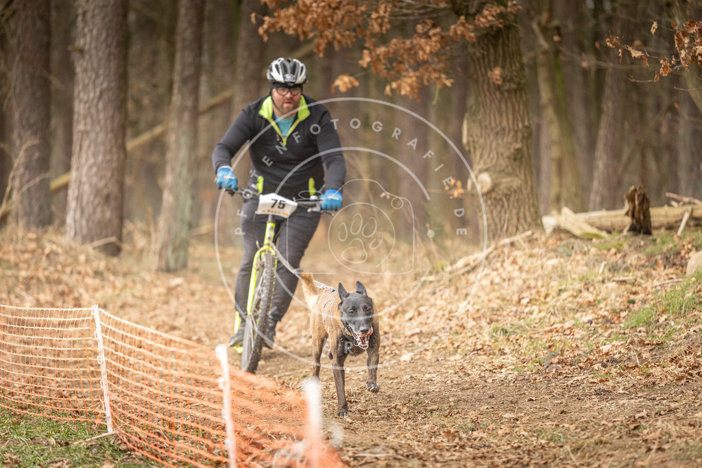 Pfotenfotografie_DV3A4220 | Hundefotografie, Tierfotograf, Pfotenfotografie, Fotoshooting Hund, Hunde Portrait, Hundesport, Hundeportraits, Heideshooting, Hunde, Sportfotograf, Hundefotograf, Turnierhundsport, THS,  - Realisiert mit Pictrs.com