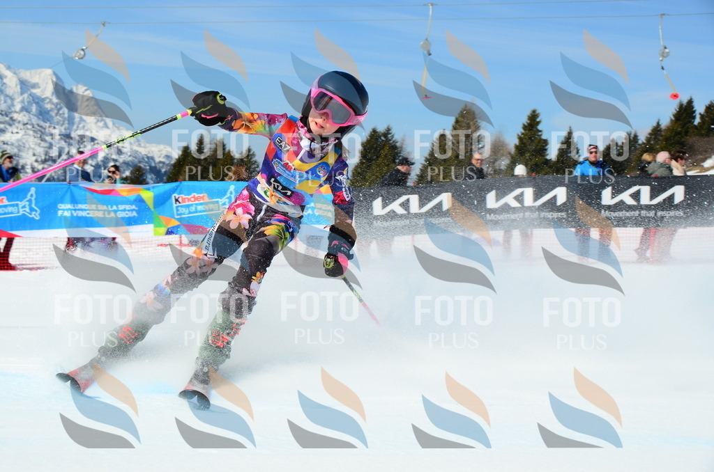 DSC_0505 | holidayphoto