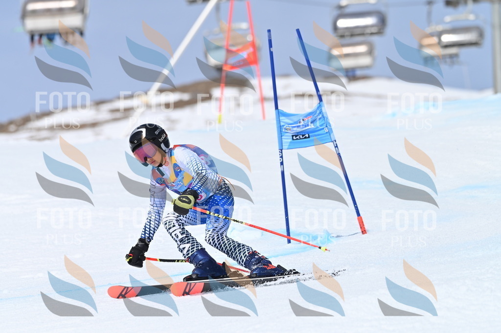 BGV_3548 | holidayphoto