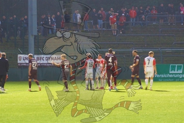 BFC Dynamo vs. Hallescher FC 132 | mythos-online-redaktion
