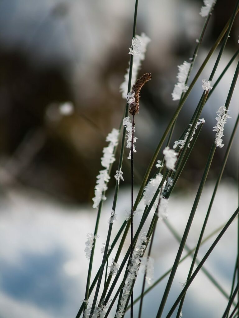 PSX_20221218_235823 | mtkfoto_ - Realisiert mit Pictrs.com