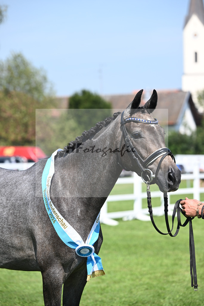 Kat-Nr. 28 nn v. Cayado_Sommer_34240651 | hf-fotografie - Realisiert mit Pictrs.com