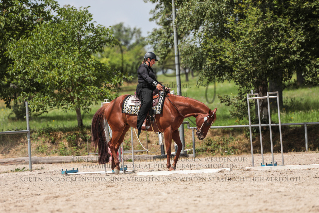 20230702-JuliaEndrejatPhotography-0668 | Julia Endrejat Photography