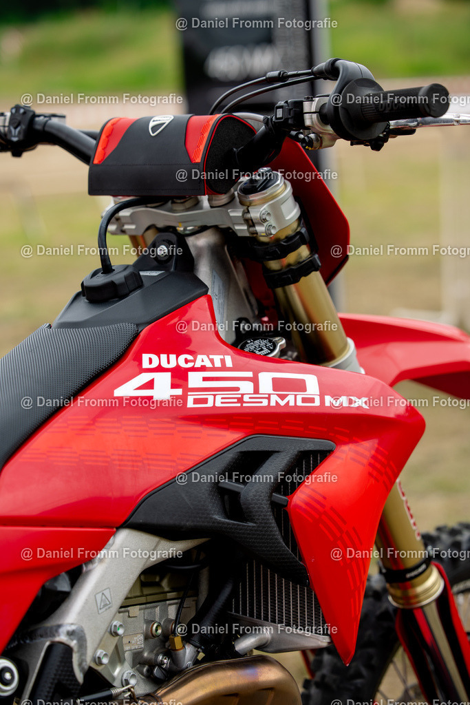 0V8A6944 | DanielFrommFotografie - Realisiert mit Pictrs.com