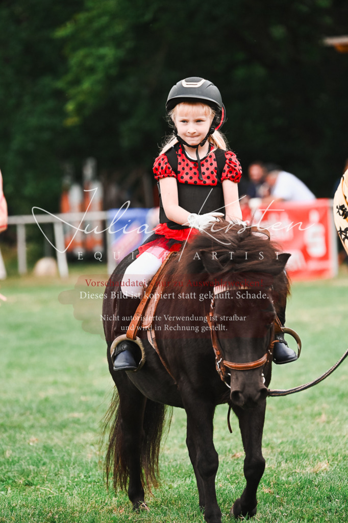 DSC_7564 | Pferde- und Turnierfotografie in Westsachsen. Pferdeportraits, Auftragszeichnungen und intuitive Kunst.