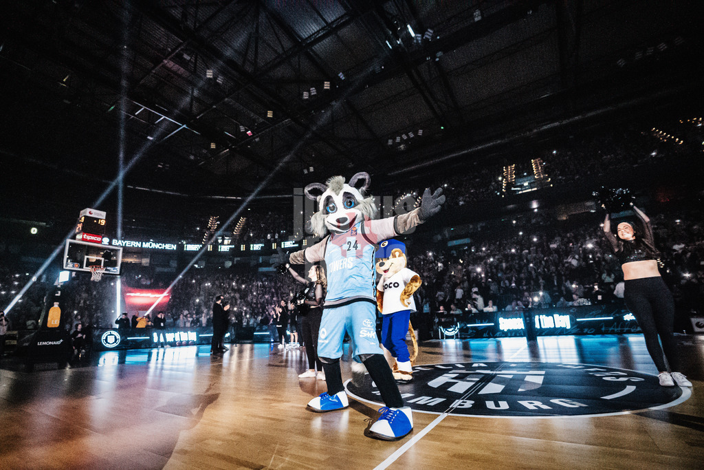 Basketball | Männer | Saison 2023/2024 | easyCredit Basketball Bundesliga | Veolia Towers Hamburg vs. FC Bayern München | 26.03.2024 | Willy der Waschbär, das neue Maskottchen der Veolia Towers Hamburg wird enthüllt