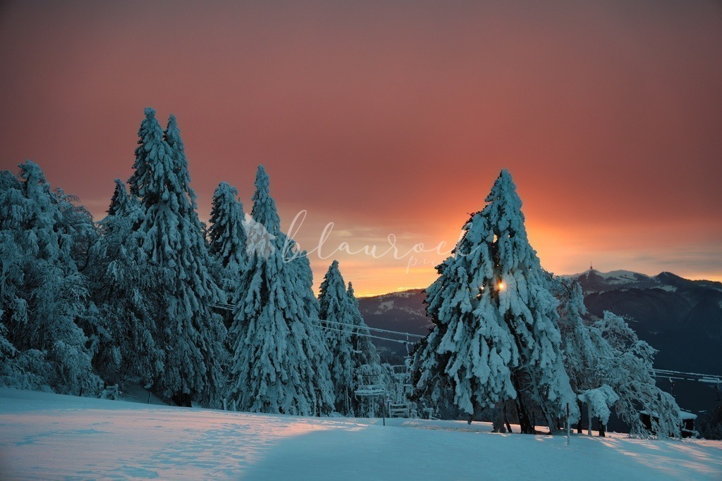 Natur_00001 | Sportbilder, Sportfotograf, Hochzeits- und Eventfotografin, Flugshows, Portraits und Tiershooting, Aviation, Downhill, Nationalleague, Swissleague, International