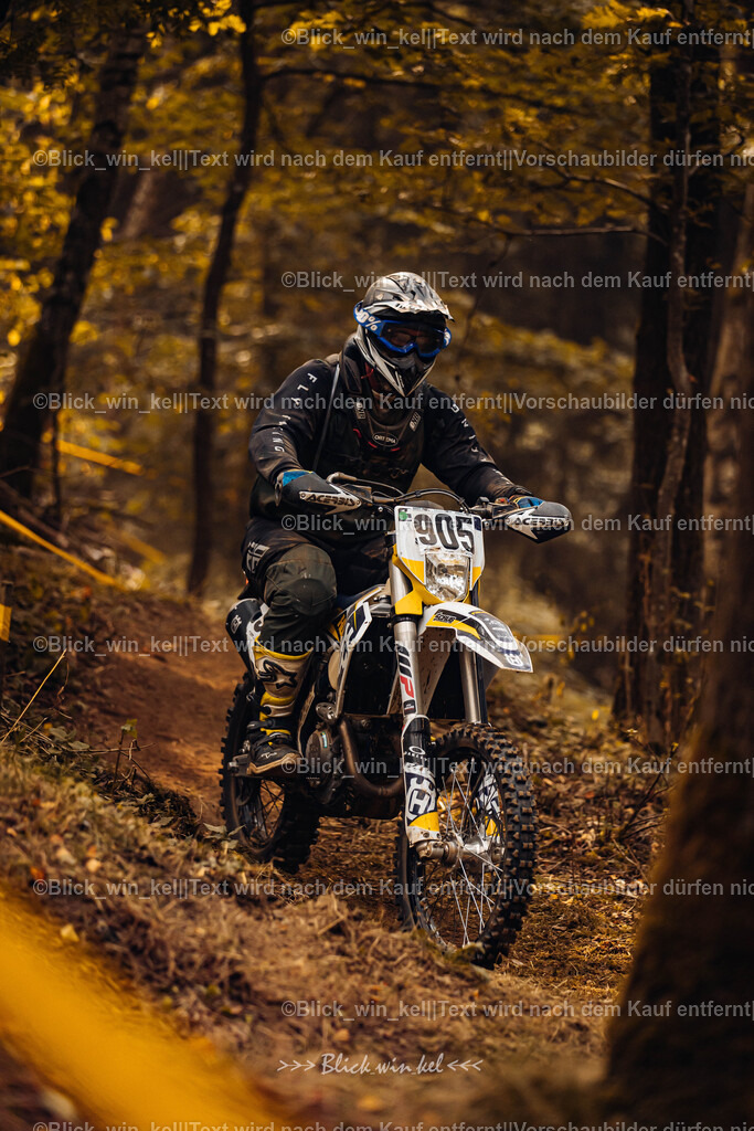 E68A3915 | blick_win_kel