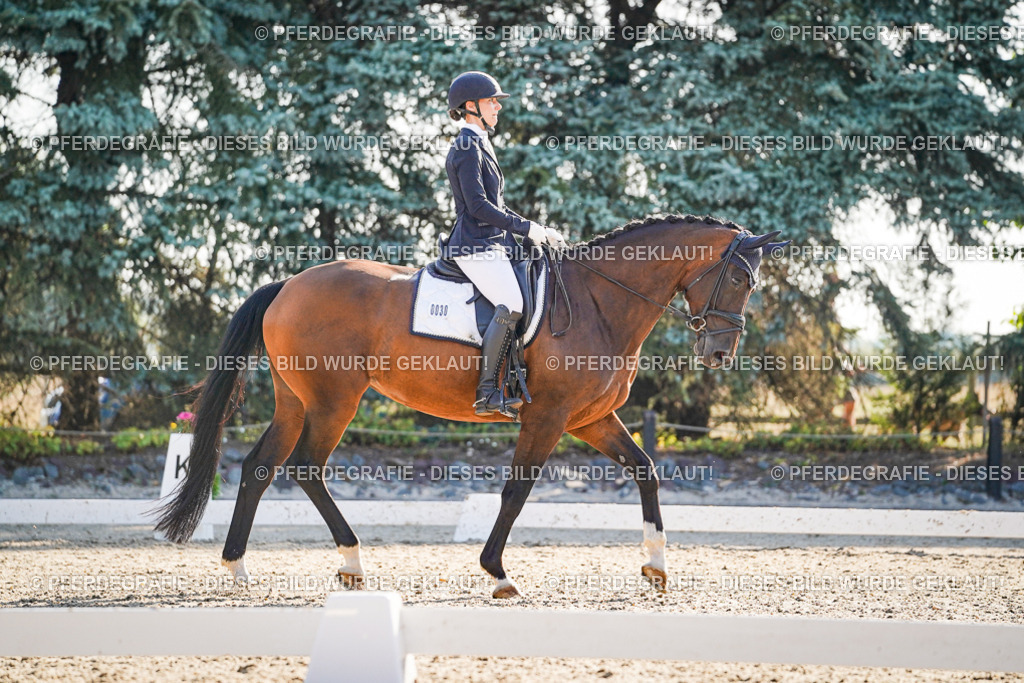 DSC08808 | Pferdegrafie