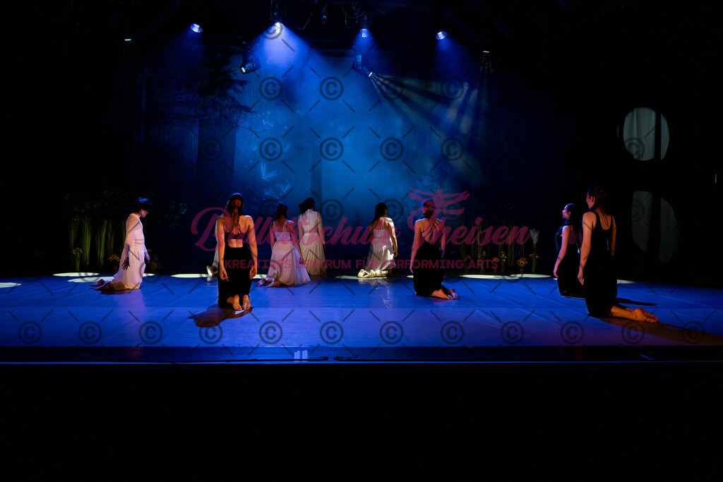 Ballettaufführung-159 | Bildershop Lem'n Entertainment - Realisiert mit Pictrs.com
