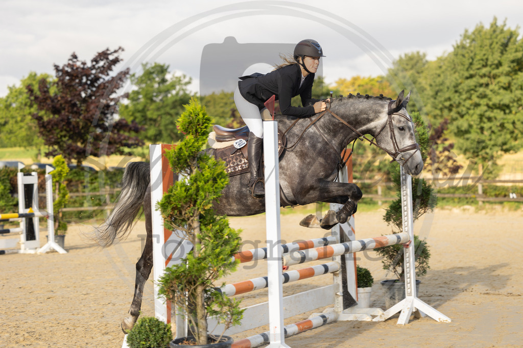 994A6941 | sabrinanicolaifotografie - Realisiert mit Pictrs.com