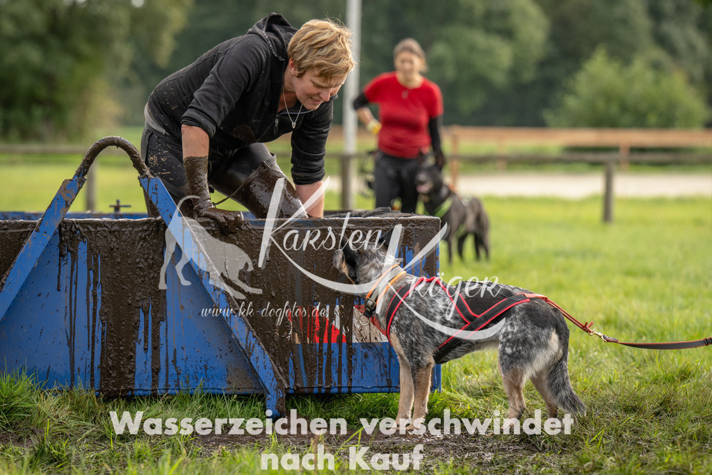 1041_ZZ91858 | kk-dogfotos