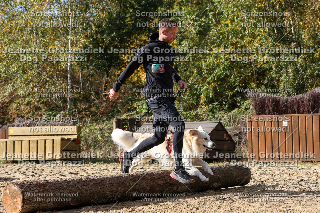 Dog Paparazzi - Strongdog 10-25-5553 | Dog Paparazzi Jeanette Grottendiek Fotografie & Videografie - Realisiert mit Pictrs.com