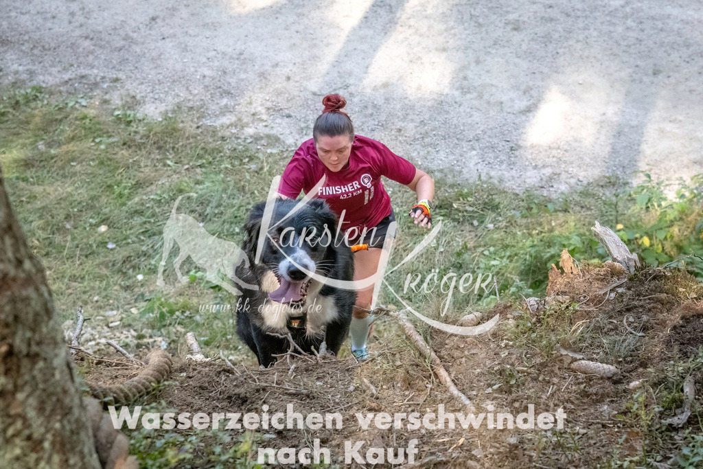 1056_ZZ93659 | kk-dogfotos