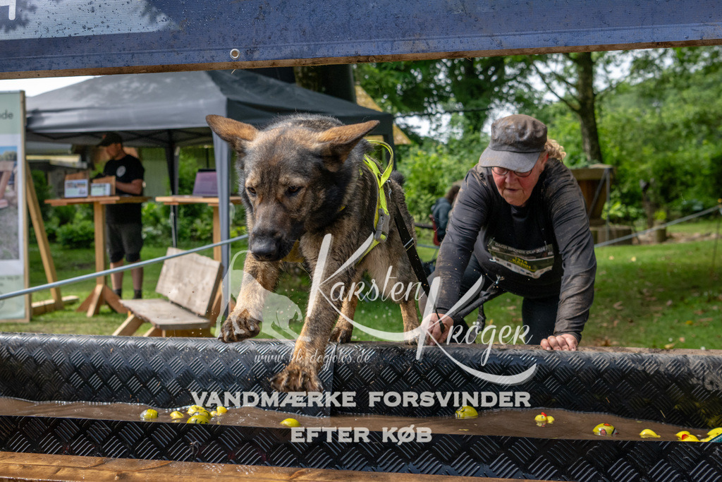 1114_ZZ93357 | kk-dogfotos