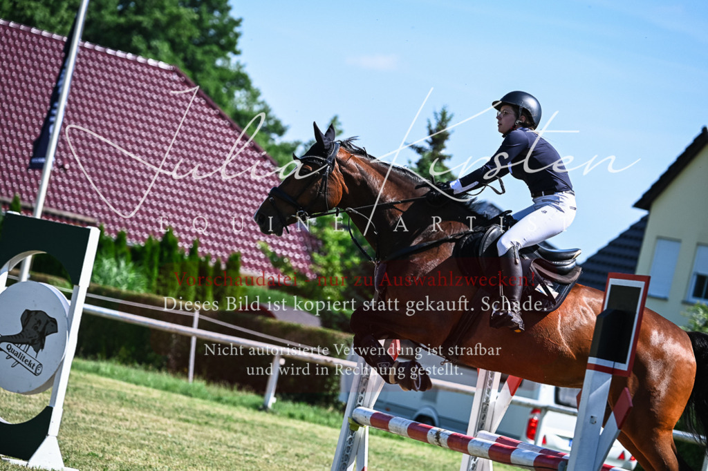 DSC_1542 | Pferde- und Turnierfotografie in Westsachsen. Pferdeportraits, Auftragszeichnungen und intuitive Kunst.