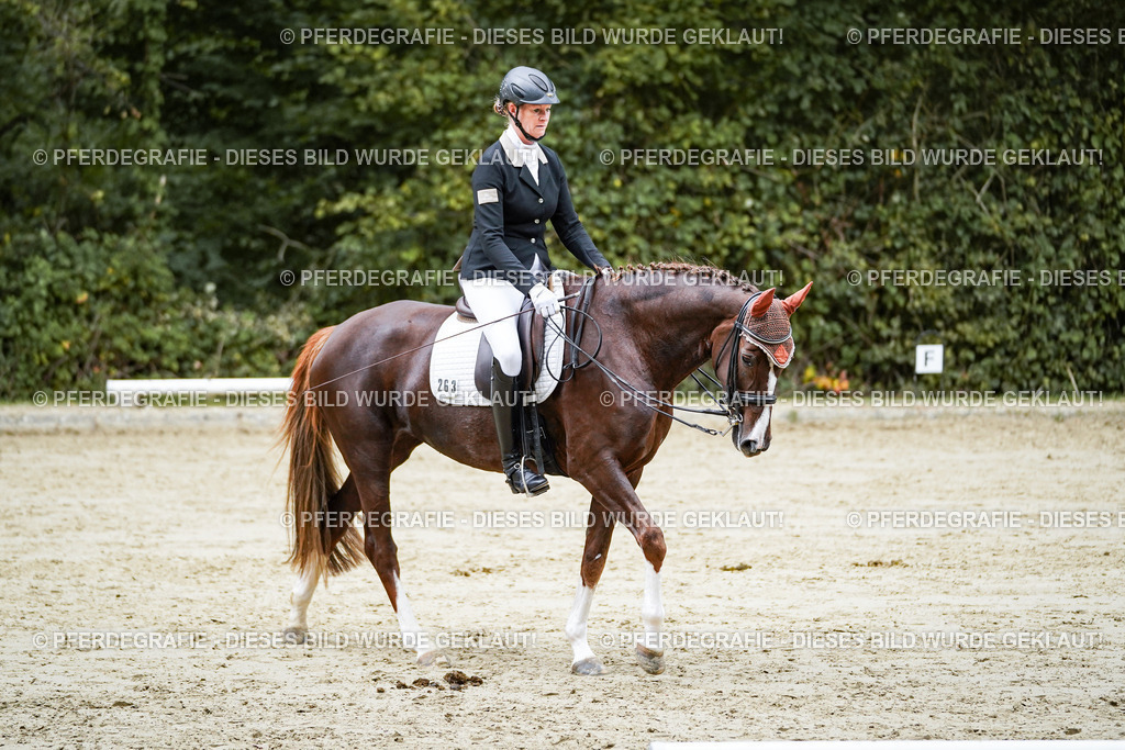 DSC09935 | Pferdegrafie