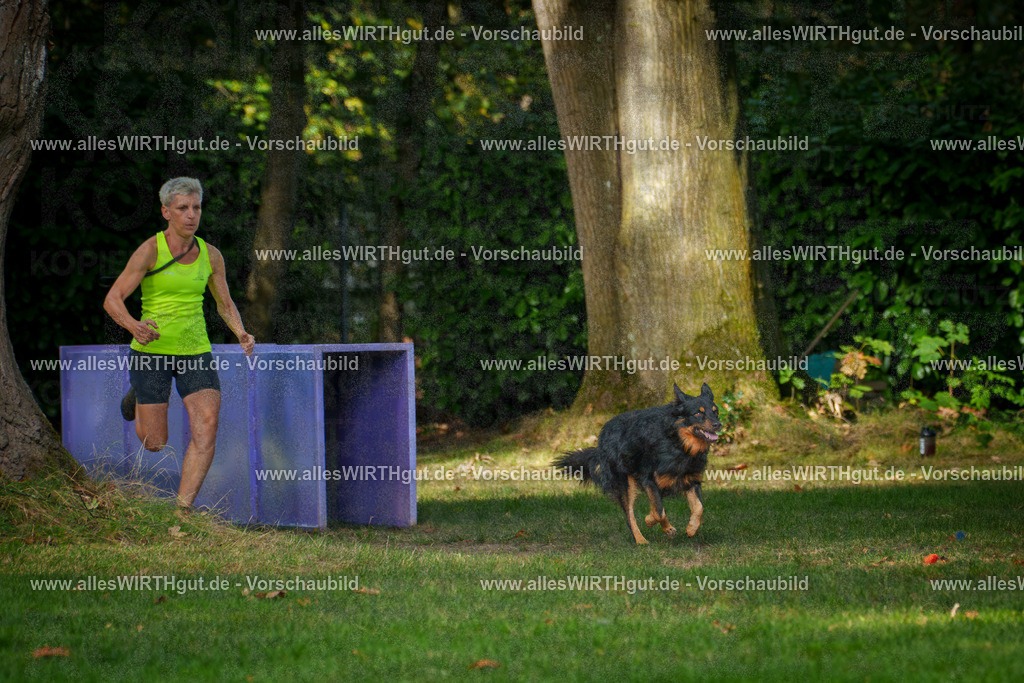 THS_Turnier_27-09-2026-allesWIRTHgut_Tierfotografie-7R506535 | Professionelle Tierfotografie in Mönchengladbach von Daniel Wirth (allesWIRTHgut). Liebevolle & natürliche Bilder von Hunden & Katzen für unvergessliche Erinnerungen.