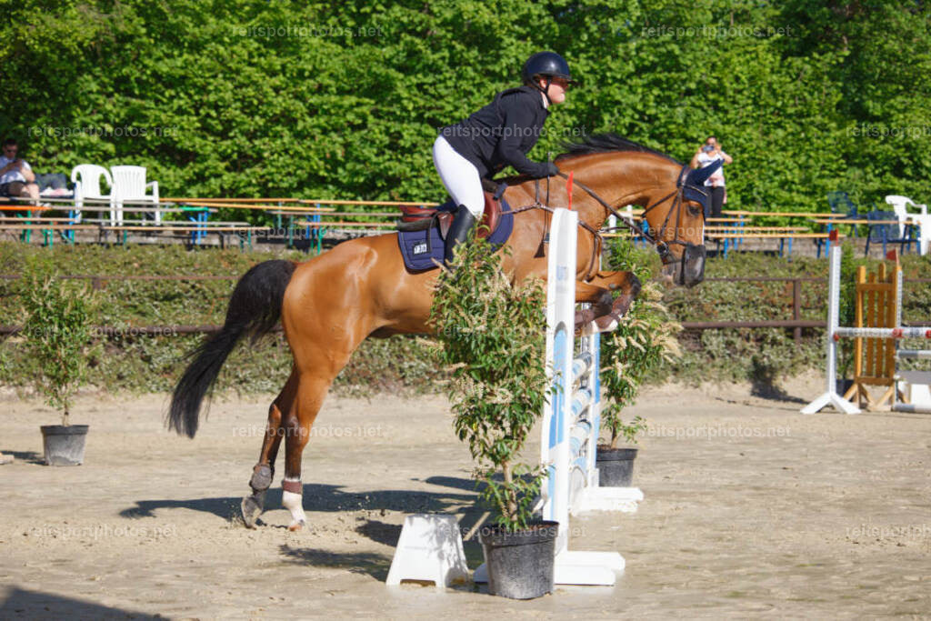 JHE_0911 | JoYa Fotografie - Realisiert mit Pictrs.com