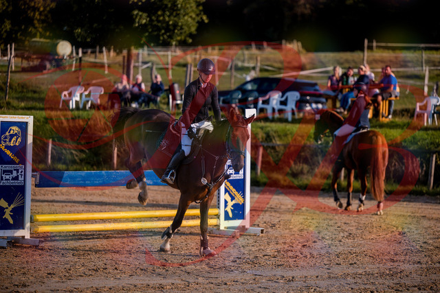 2026_10_03_Siefer-Hof_171050_Z81_07867925 | Professionelle Reitsport-, Turnier- und Eventfotografie von Robert Broda. Galerien mit ausgewählten und bearbeiteten Bildern direkt online ansehen und bestellen.