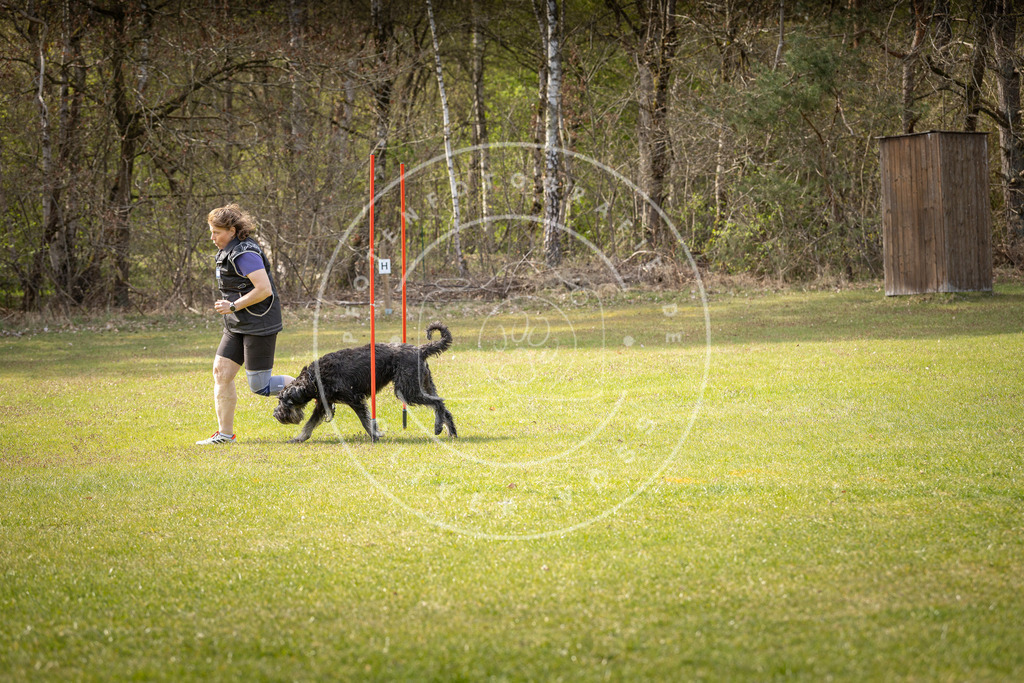 Pfotenfotografie_DV3A9686 | Hundefotografie, Tierfotograf, Pfotenfotografie, Fotoshooting Hund, Hunde Portrait, Hundesport, Hundeportraits, Heideshooting, Hunde, Sportfotograf, Hundefotograf, Turnierhundsport, THS,  - Realisiert mit Pictrs.com