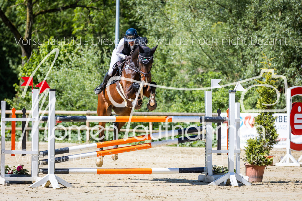 Donop24-M-Spr-013 | MomenTaufnahmen Pferdesportfotos