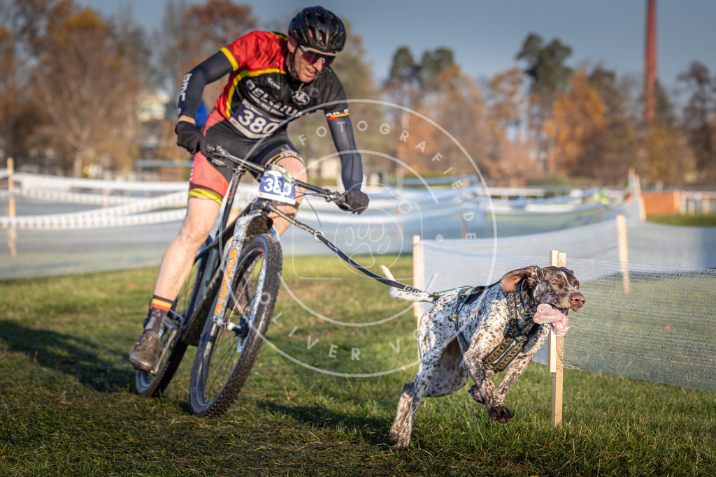 CaniXpix_0L8A3733 | Hundefotografie, Tierfotograf, Pfotenfotografie, Fotoshooting Hund, Hunde Portrait, Hundesport, Hundeportraits, Heideshooting, Hunde, Sportfotograf, Hundefotograf, Turnierhundsport, THS,  - Realisiert mit Pictrs.com