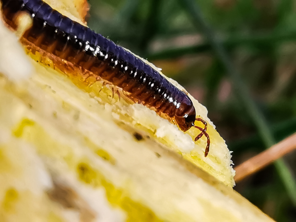 PSX_20230318_002703 | mtkfoto_ - Realisiert mit Pictrs.com