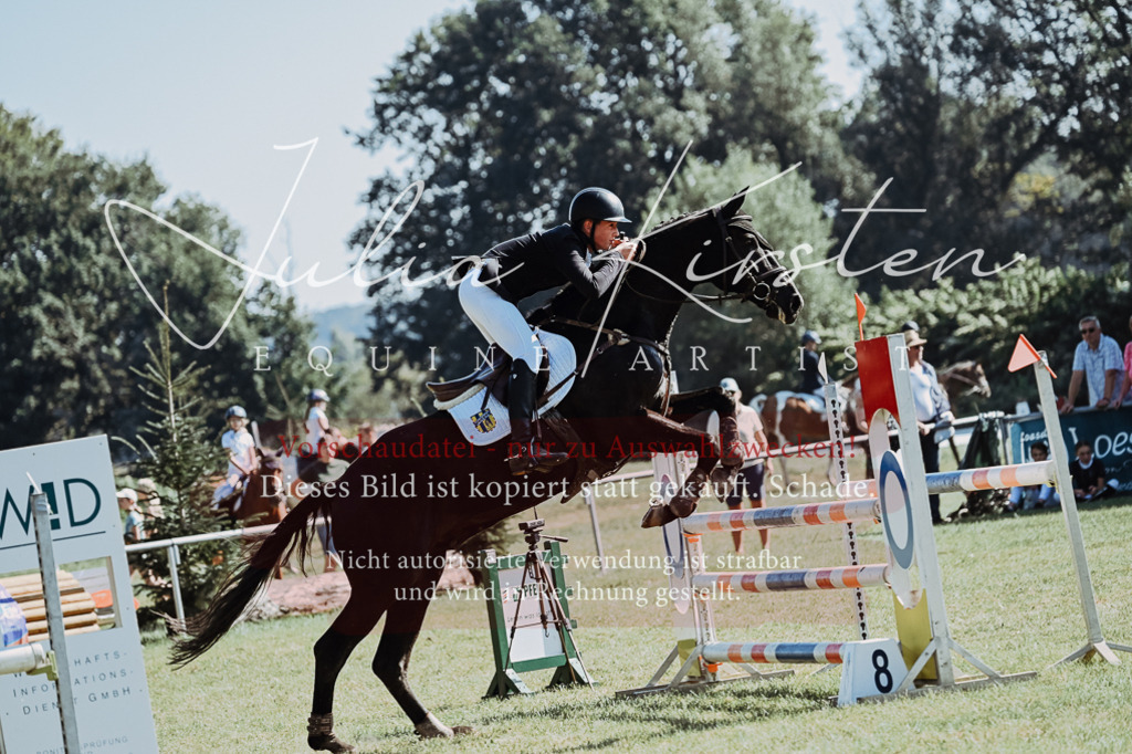 DSC_5743 | Pferde- und Turnierfotografie in Westsachsen. Pferdeportraits, Auftragszeichnungen und intuitive Kunst.
