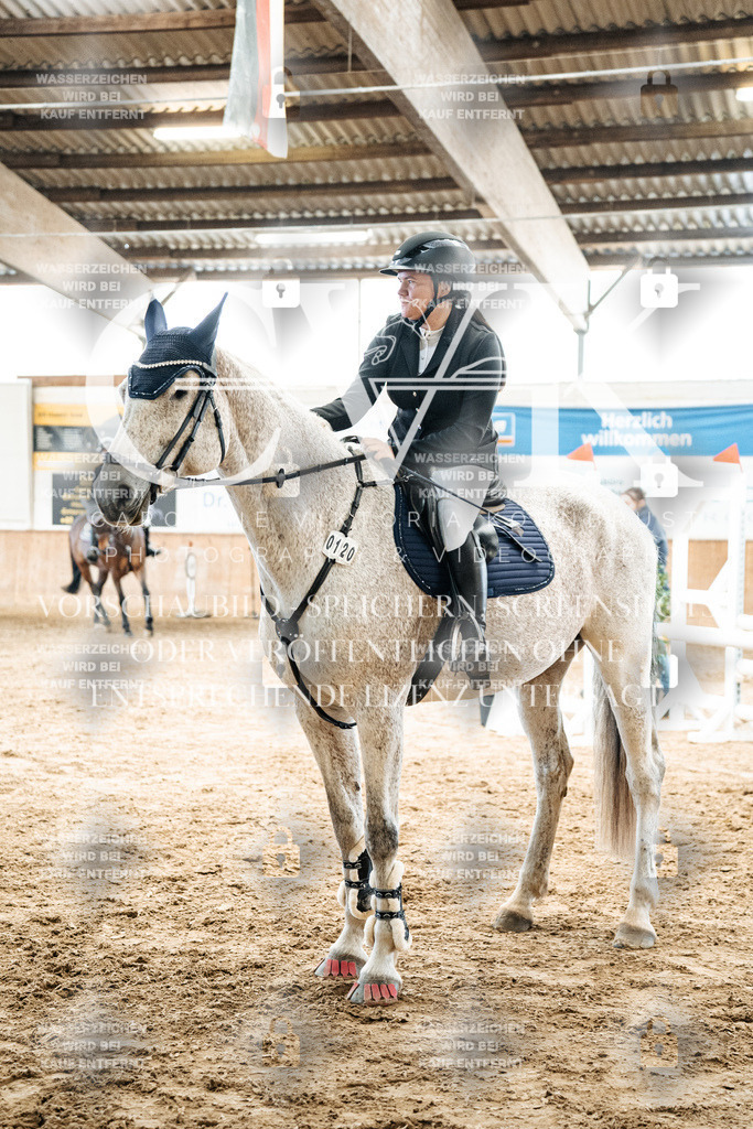 CK702899 | Turnierfotografie Pferdefotografie Trier Rheinland-Pfalz Pferdesport Reitsport Tierfotografie Sportfotografie Pferdevideo Pferdevideografie Equestrianvideography equestrianphotography  - Realized with Pictrs.com