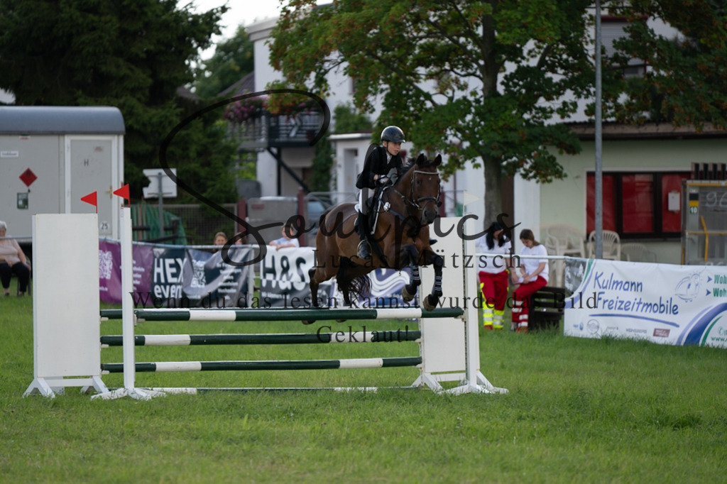 A7V03616 | Pferdefotograf