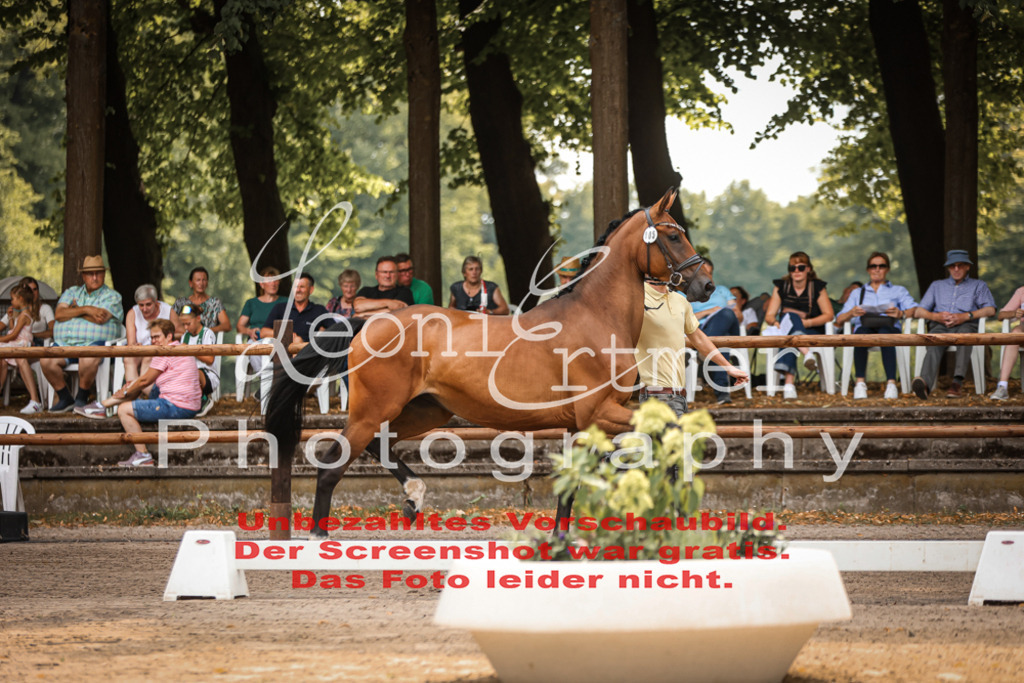 Do2.R00005 | Leoni Ertmer Photography - Realisiert mit Pictrs.com