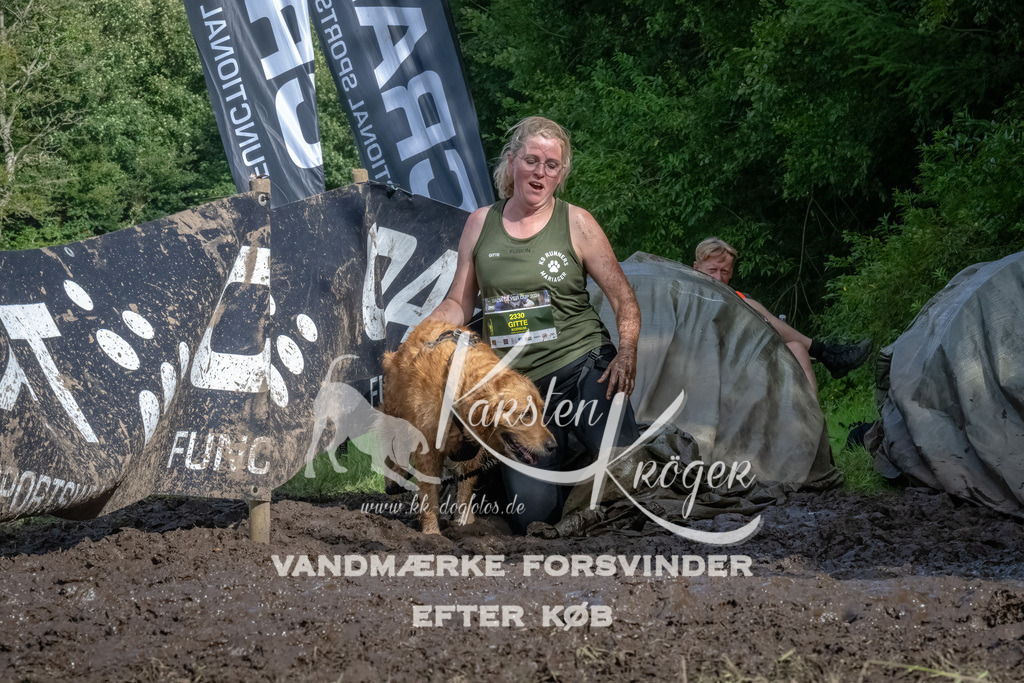 1702_ZZ90861-Bearbeitet | kk-dogfotos