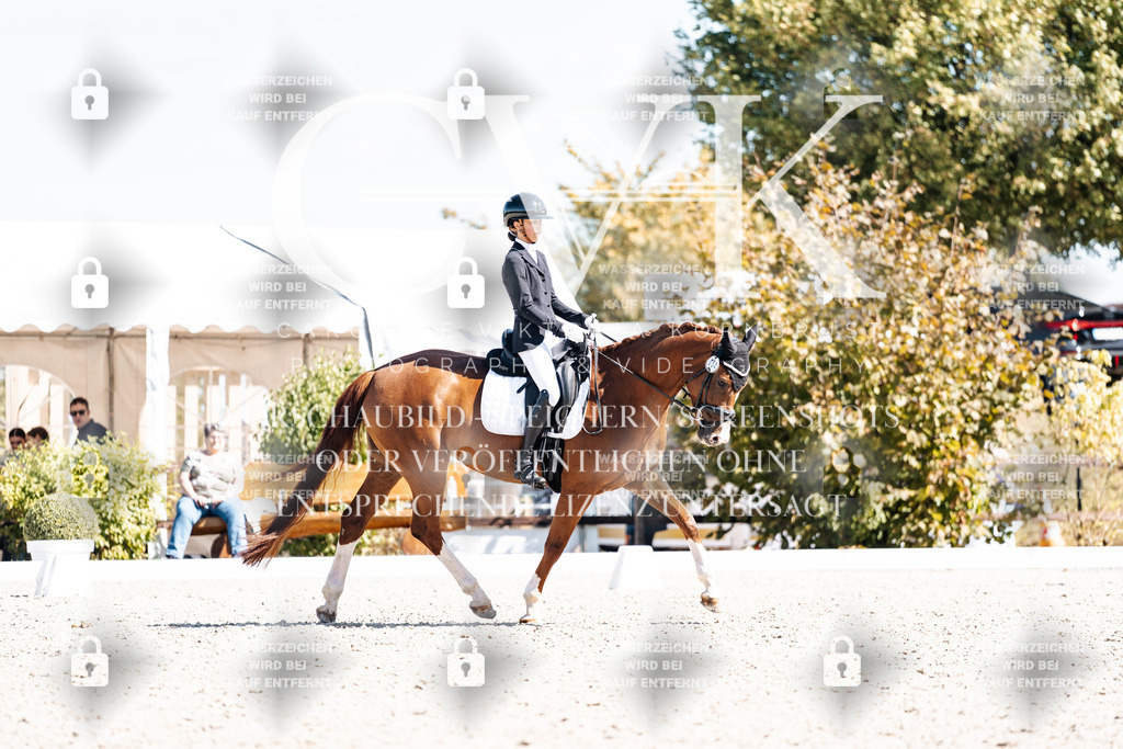 CK904110 | Turnierfotografie Pferdefotografie Trier Rheinland-Pfalz Pferdesport Reitsport Tierfotografie Sportfotografie Pferdevideo Pferdevideografie Equestrianvideography equestrianphotography  - Realisiert mit Pictrs.com