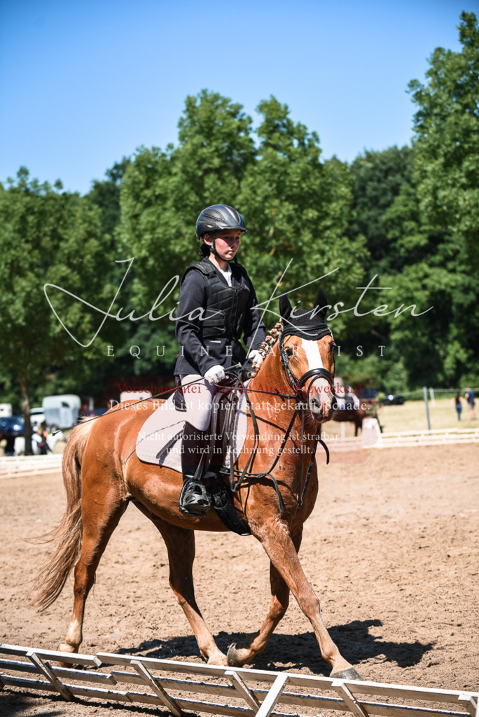 DSC_3279 | Pferde- und Turnierfotografie in Westsachsen. Pferdeportraits, Auftragszeichnungen und intuitive Kunst.