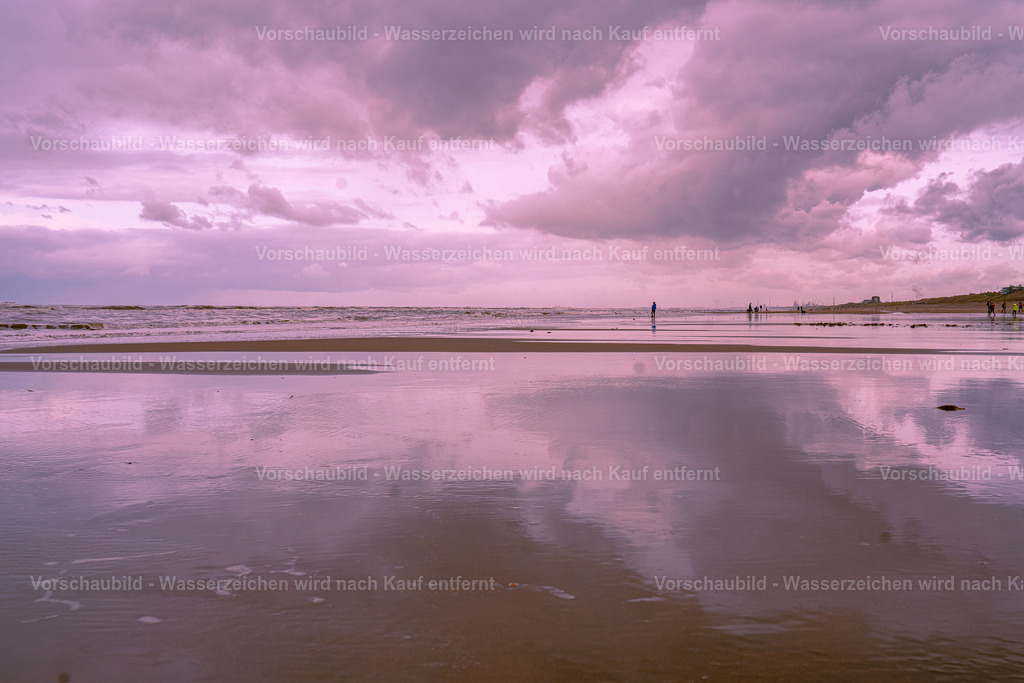 DSC01502-Enhanced-NR | marcuslinek